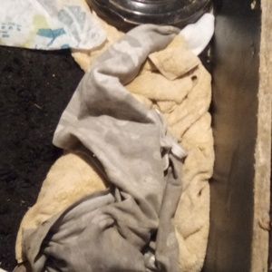 Meet your Posher, Jerry